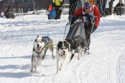 Lenk 2012 SM